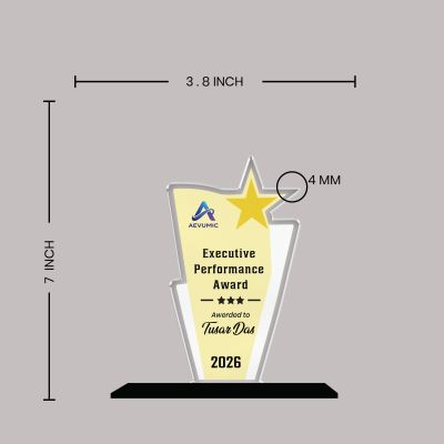 Executive Performance Award Personalized Acrylic Award Trophy Custom with Name  Achievement Award for Employee, Corporate Recognition Thankyou Gift for Employee